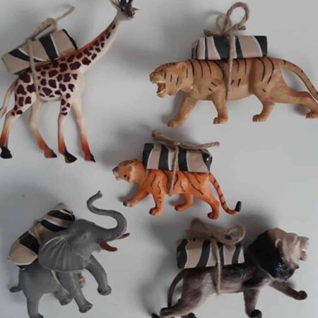 Kindertraktatie Safari